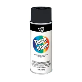 Touch 'N Tone Spray Paint